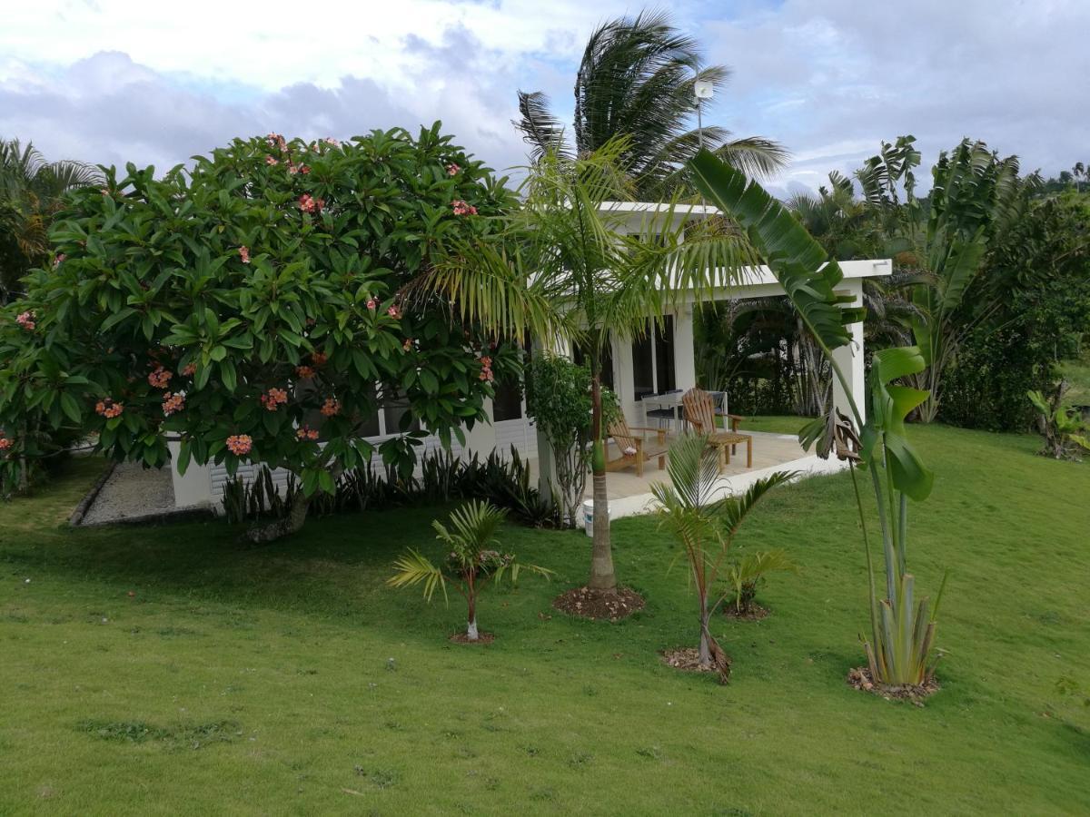 Vila Domaine Vista Linda La Casita Del Loma Vista Mar Río San Juan Exteriér fotografie